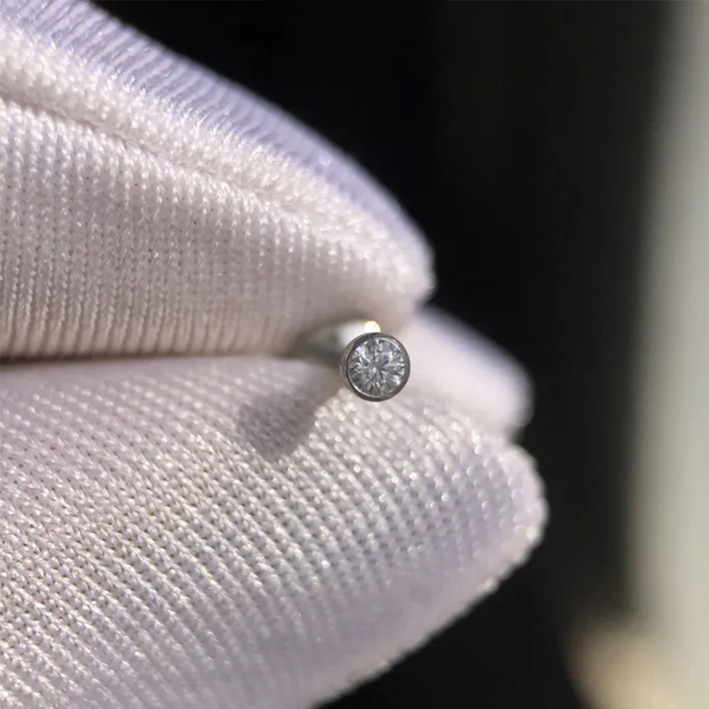 10 Pezzi Gioielli per Piercing - Zoor Body Jewelry recensione e prezzo